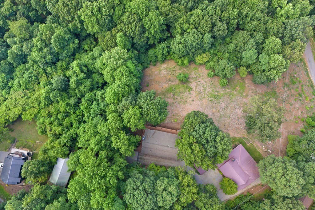Hiawassee, Georgia, 30546, United States, 3 Bedrooms Bedrooms, ,3 BathroomsBathrooms,Residential,For Sale,1880461