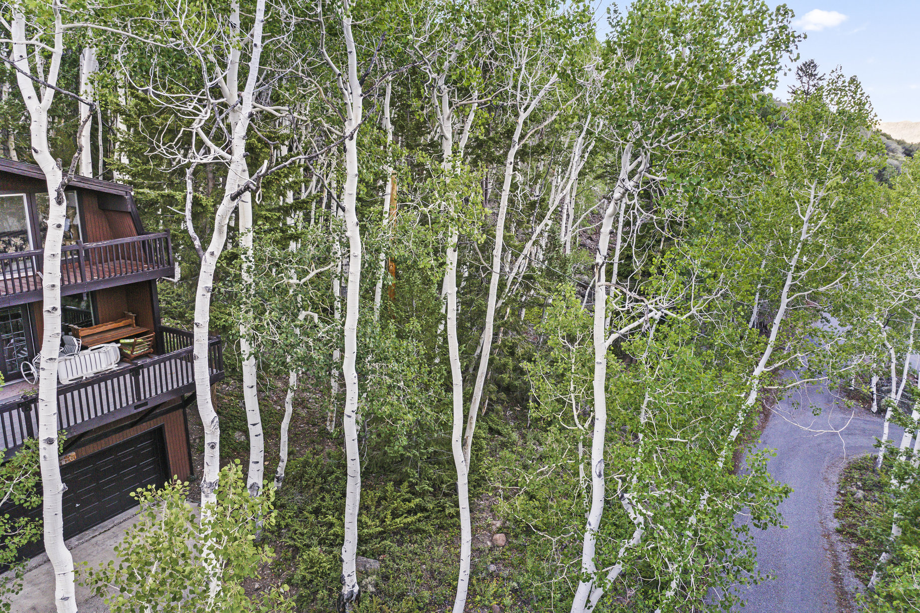  Fish Lake Two-Story Cabin with Views - 物件實景