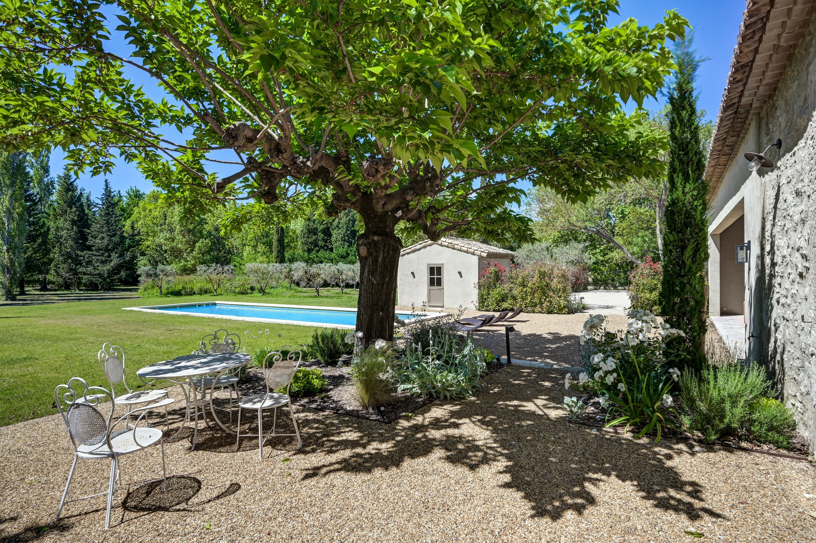  Fully Renovated Mas, 5 Minutes from the Center of Saint-Rémy-de-Provence - 物件實景
