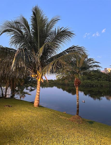 Sunrise, Florida, 33323, United States, 3 Bedrooms Bedrooms, ,2 BathroomsBathrooms,Residential,For Sale,1862219