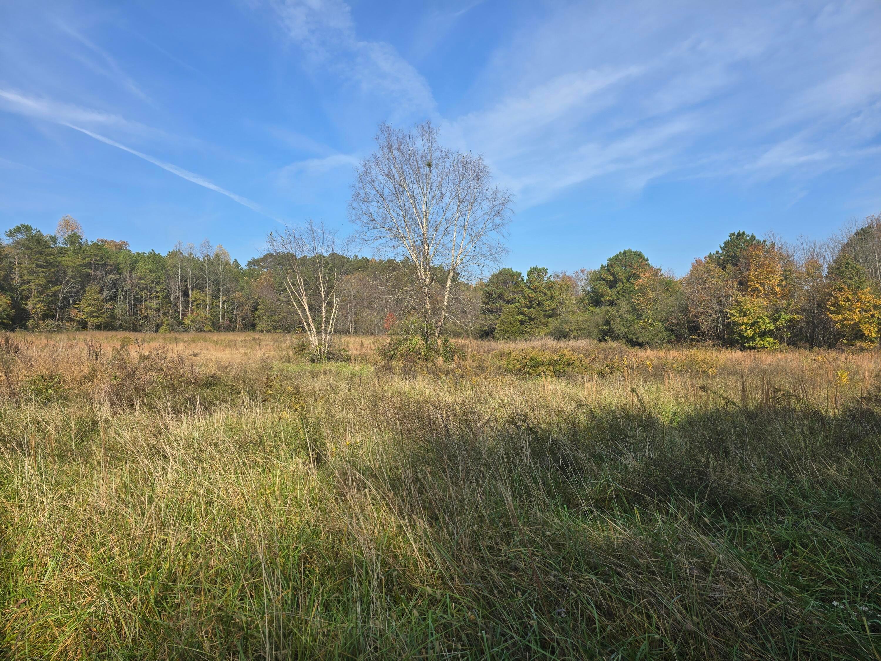 1379 Sand Mountain Road, Ocoee, Tennessee, 37361, United States, ,Residential,For Sale,1379 Sand Mountain Road,1649302