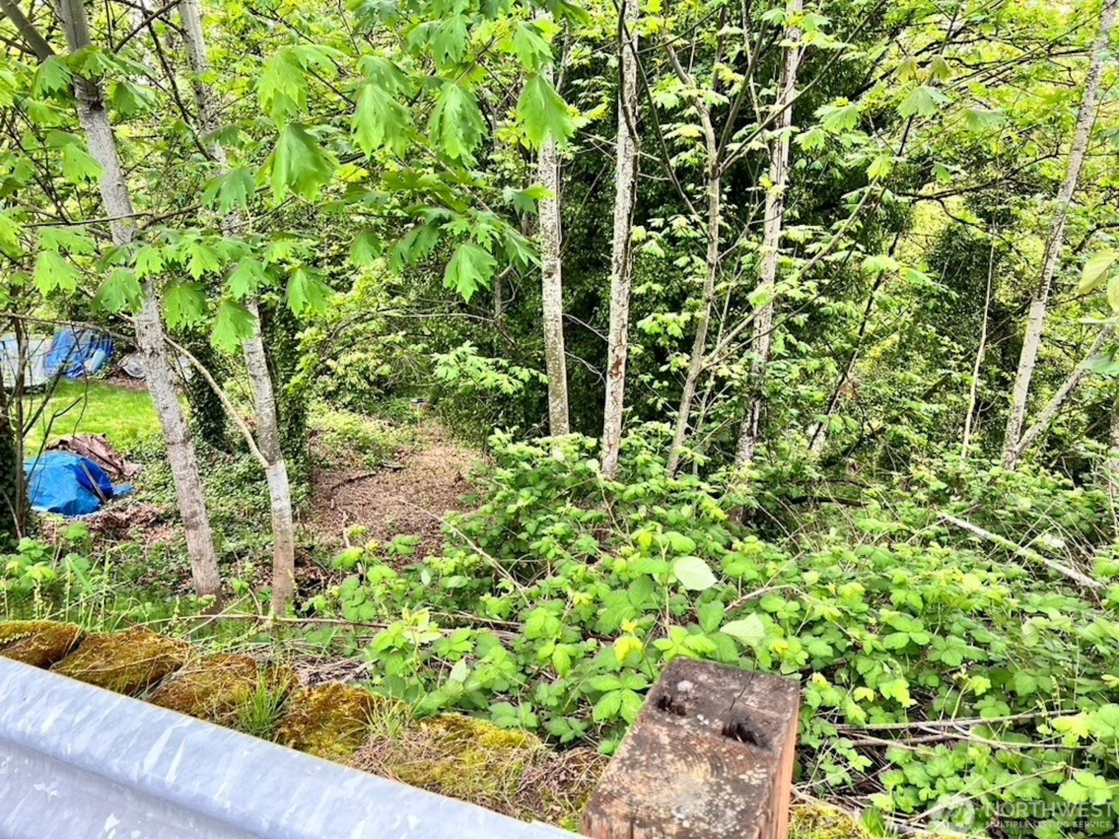  Unique Opportunity in Tukwila - 物件實景