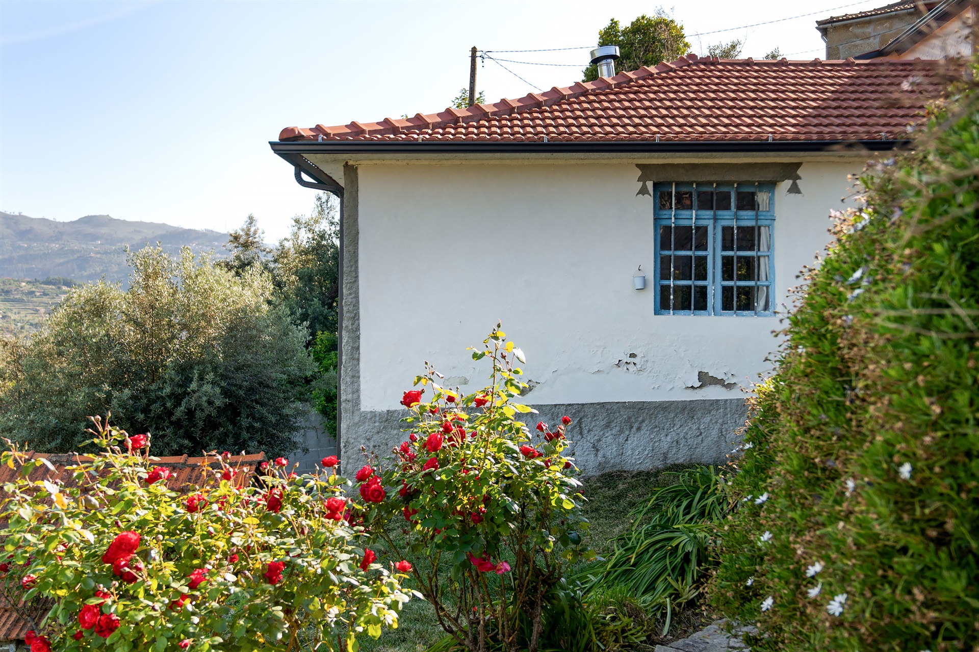  Detached house, 4 bedrooms, for Sale - 物件實景