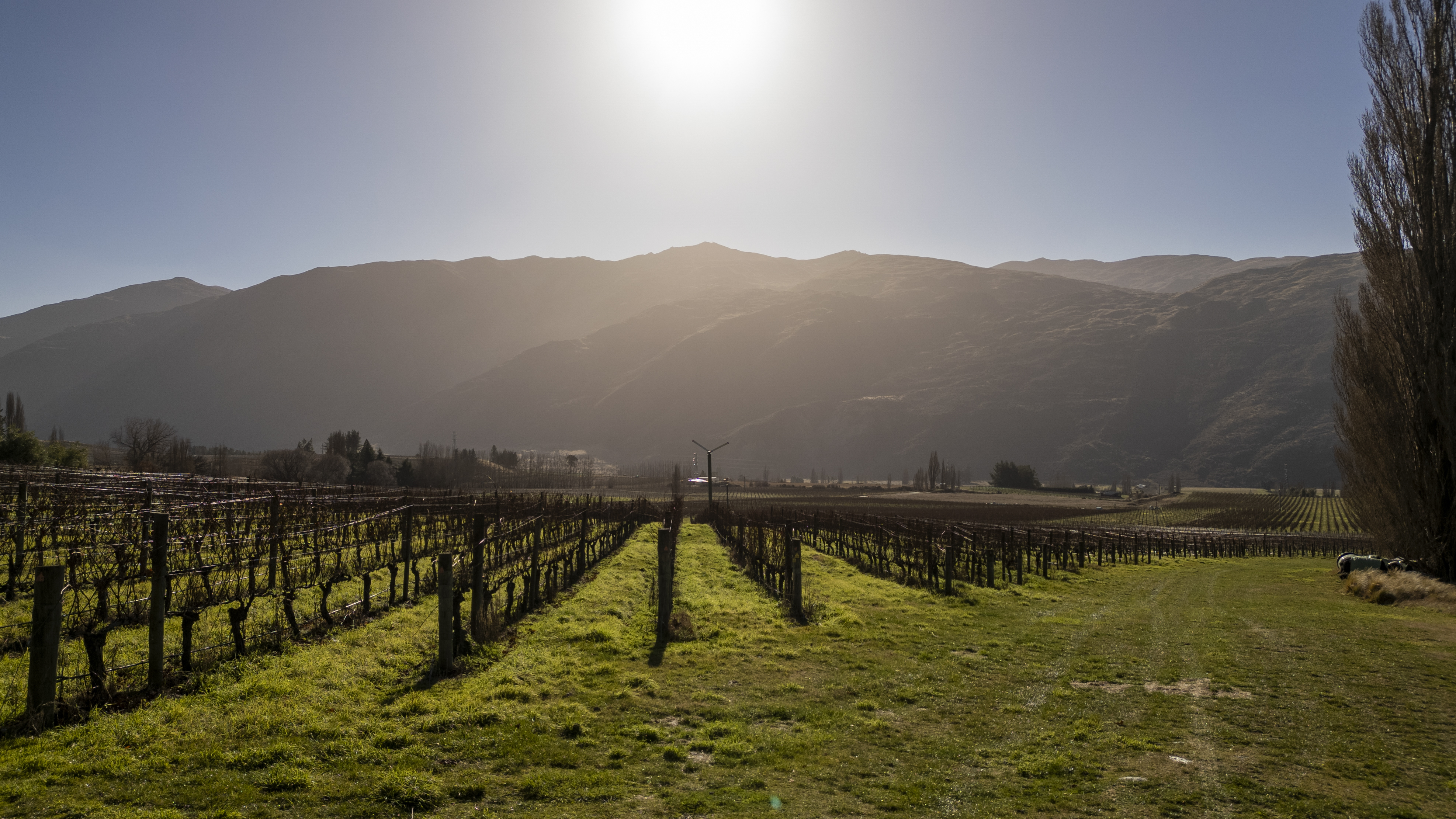  Award Winning Vineyard - 物件實景