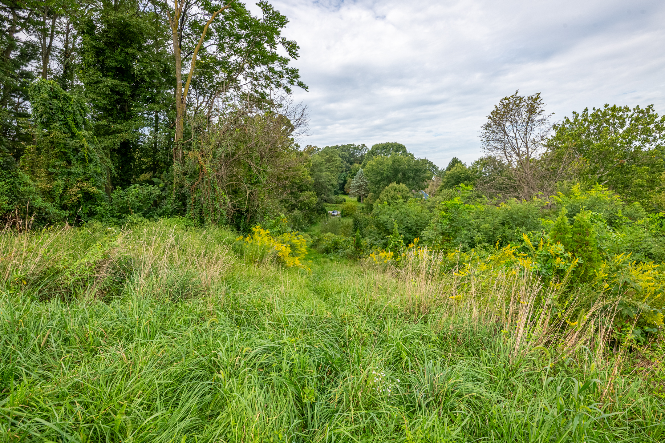  0 River Rd, Pequea, PA 17565 - 物件實景