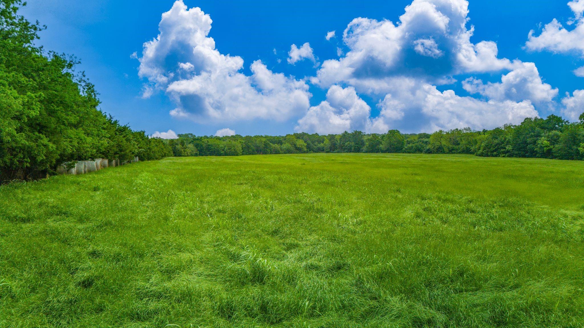 Celeste, Texas, 75423, United States, ,Land,For Sale,1977451