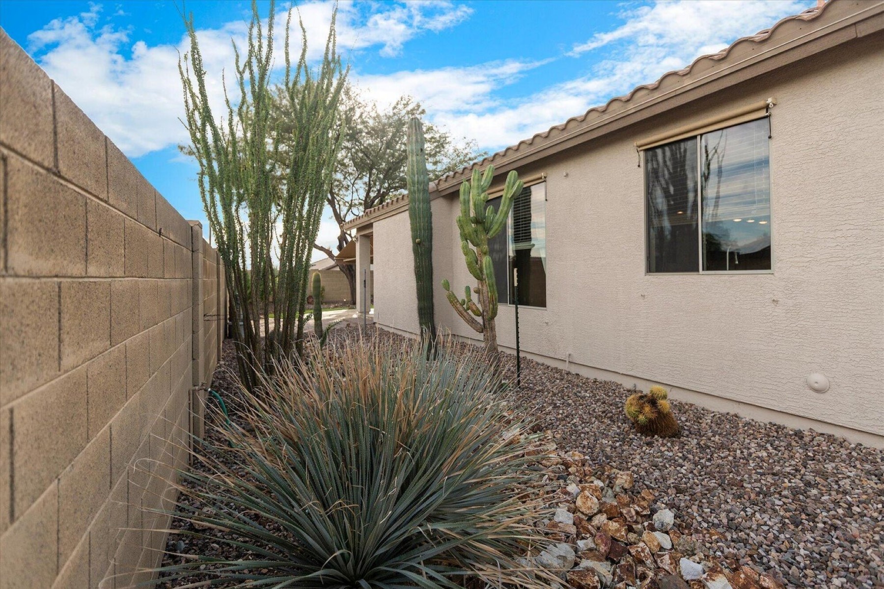  3629 W Ranier Court¦Anthem, AZ - 物件實景