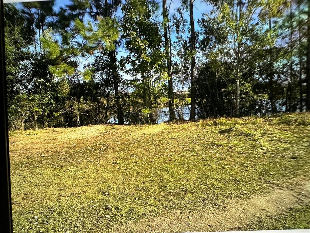 St Cloud, Florida, 34772, United States, ,Land,For Sale,1960724