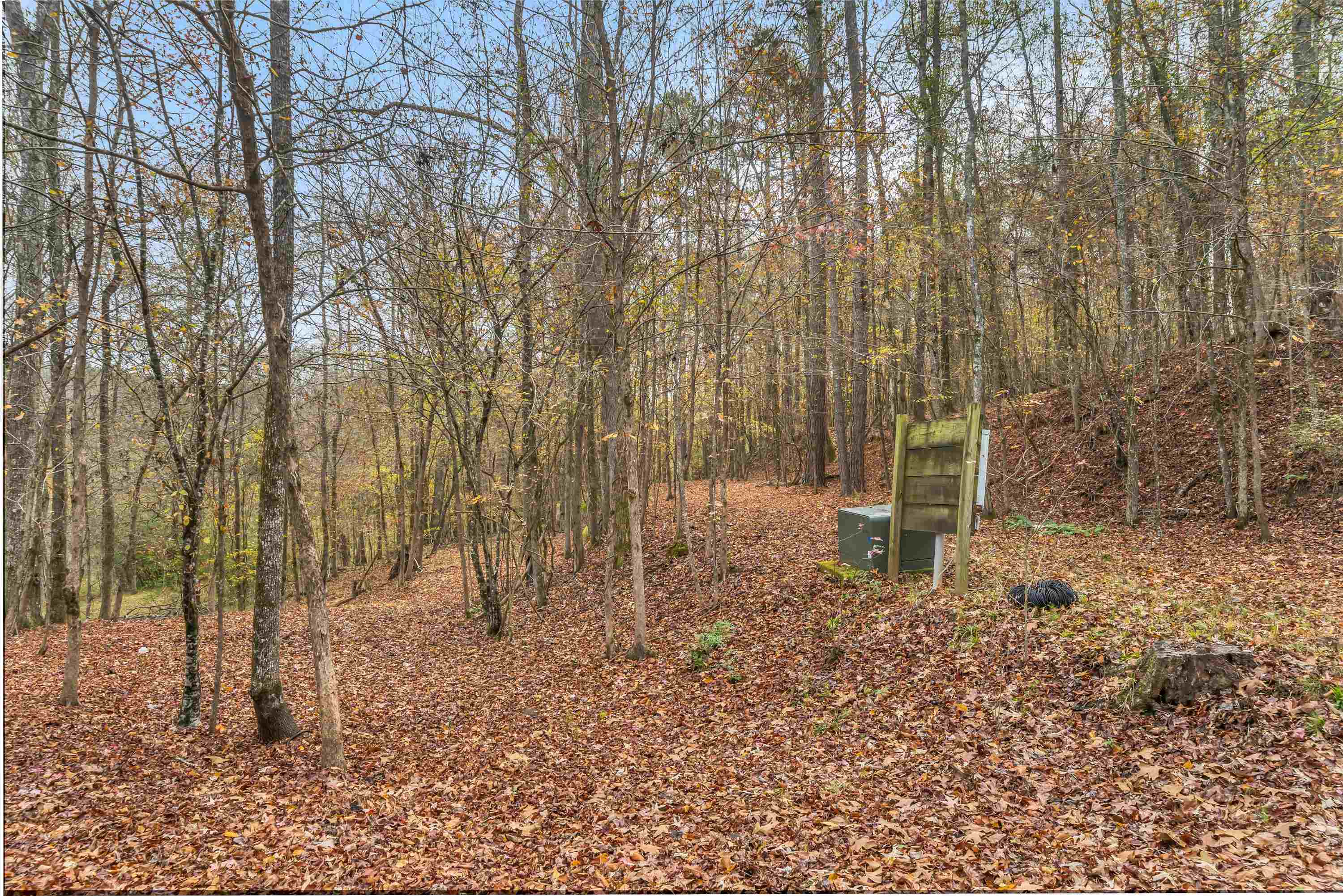 6.04 ac LINCHBURG ROAD, Eatonton, Georgia, 31024, United States, ,Land,For Sale,6.04 ac LINCHBURG ROAD,1683255