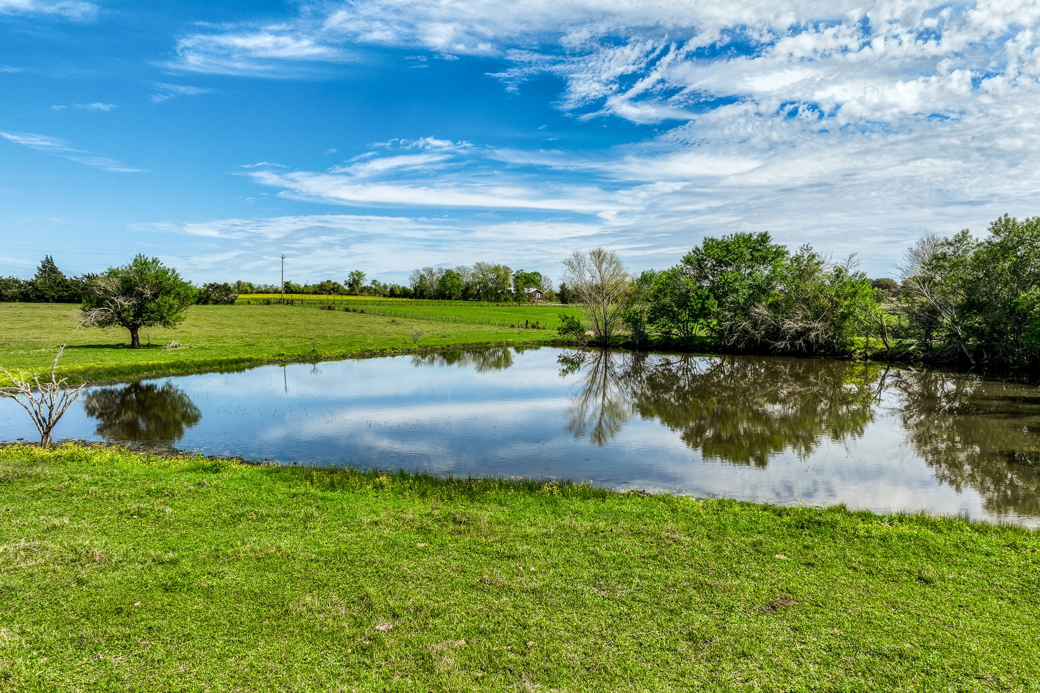  20751 Fm 1155, Washington, TX, 77880 - 物件實景
