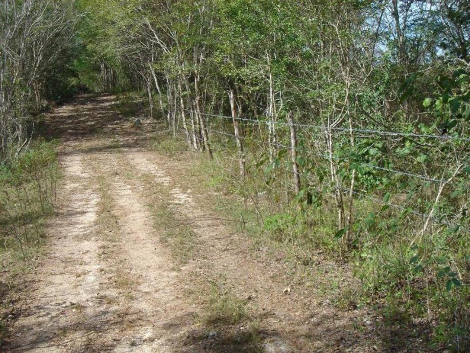 Carretera Federal M?rida-Valladolid, Benito Juárez, Quintana Roo, 77500, Mexico, 1 Bedroom Bedrooms, ,Residential,For Sale,Carretera Federal M?rida-Valladolid,1443849