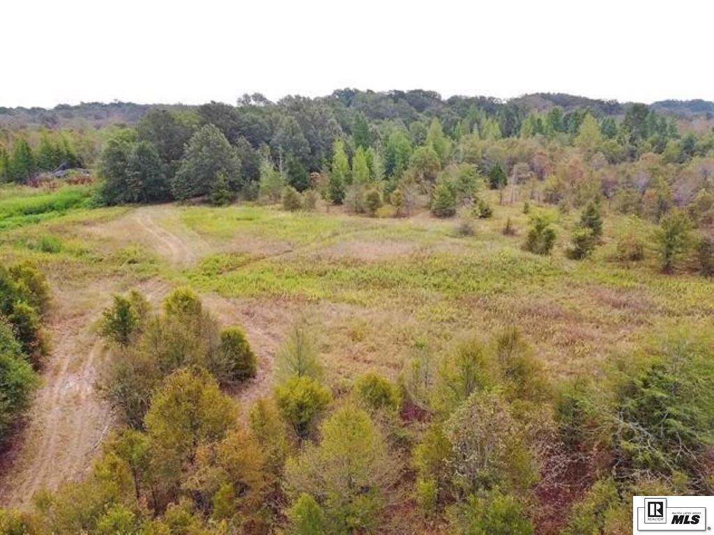 491 FORTENBERRY ROAD, Rayville, Louisiana, 71269, United States, ,Land,For Sale,491 FORTENBERRY ROAD,1683362