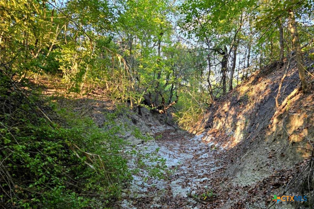 Bartlett, Texas, 76511, United States, 3 Bedrooms Bedrooms, ,2 BathroomsBathrooms,Residential,For Sale,1991211