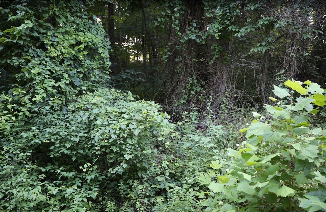 Thaxted Dr, Bella Vista, AR 72715 #1