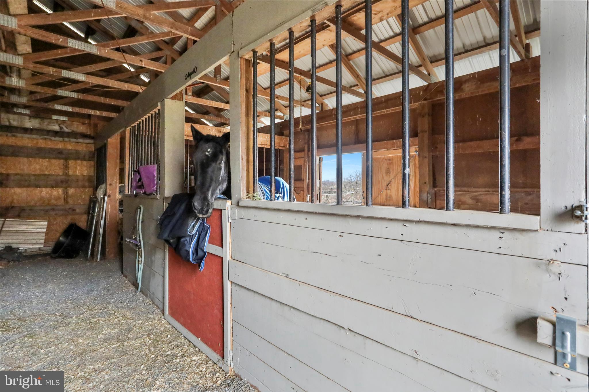 Mercersburg, Pennsylvania, 17236, United States, 5 Bedrooms Bedrooms, ,5 BathroomsBathrooms,Residential,For Sale,2005135
