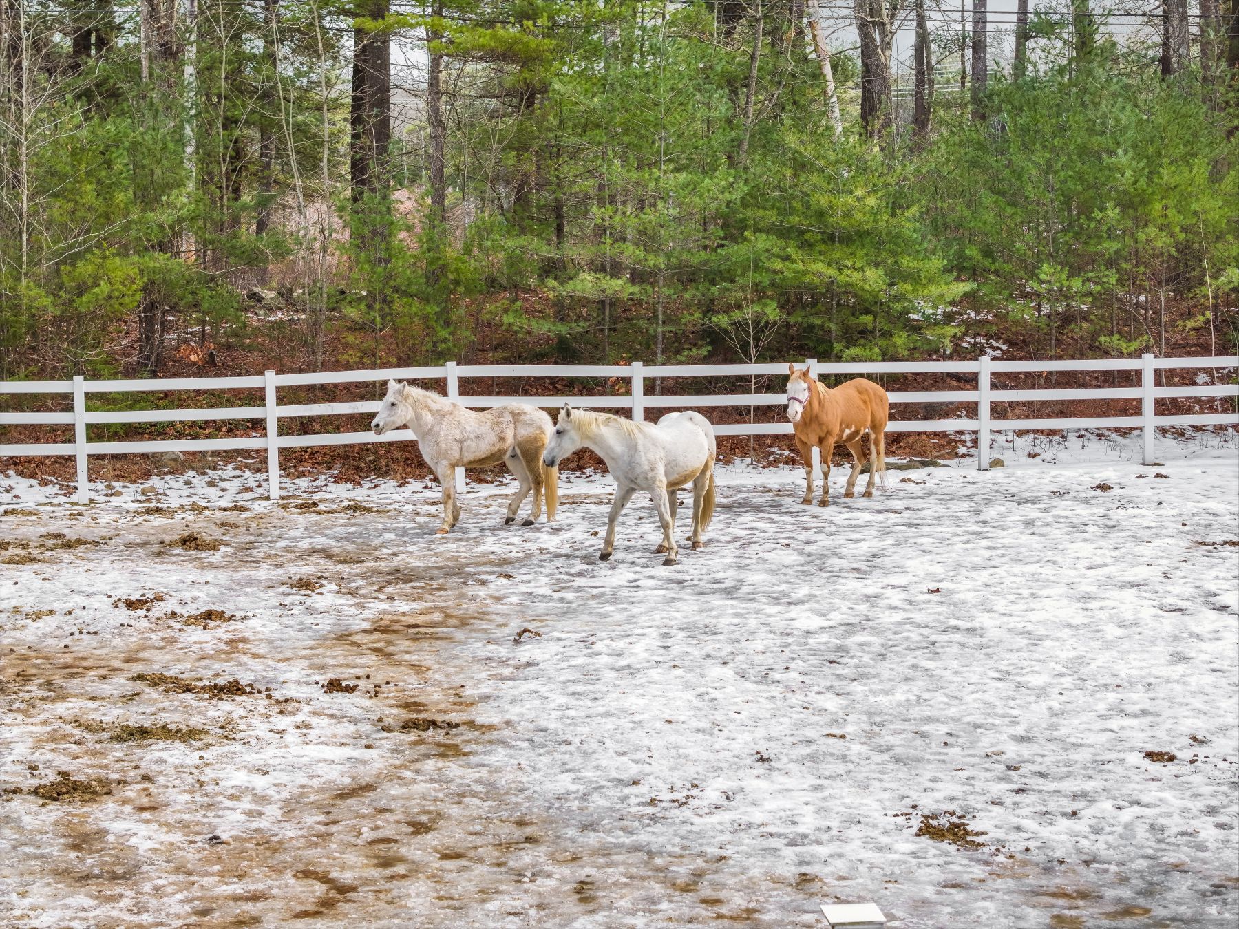  417 Candia Road - 物件實景
