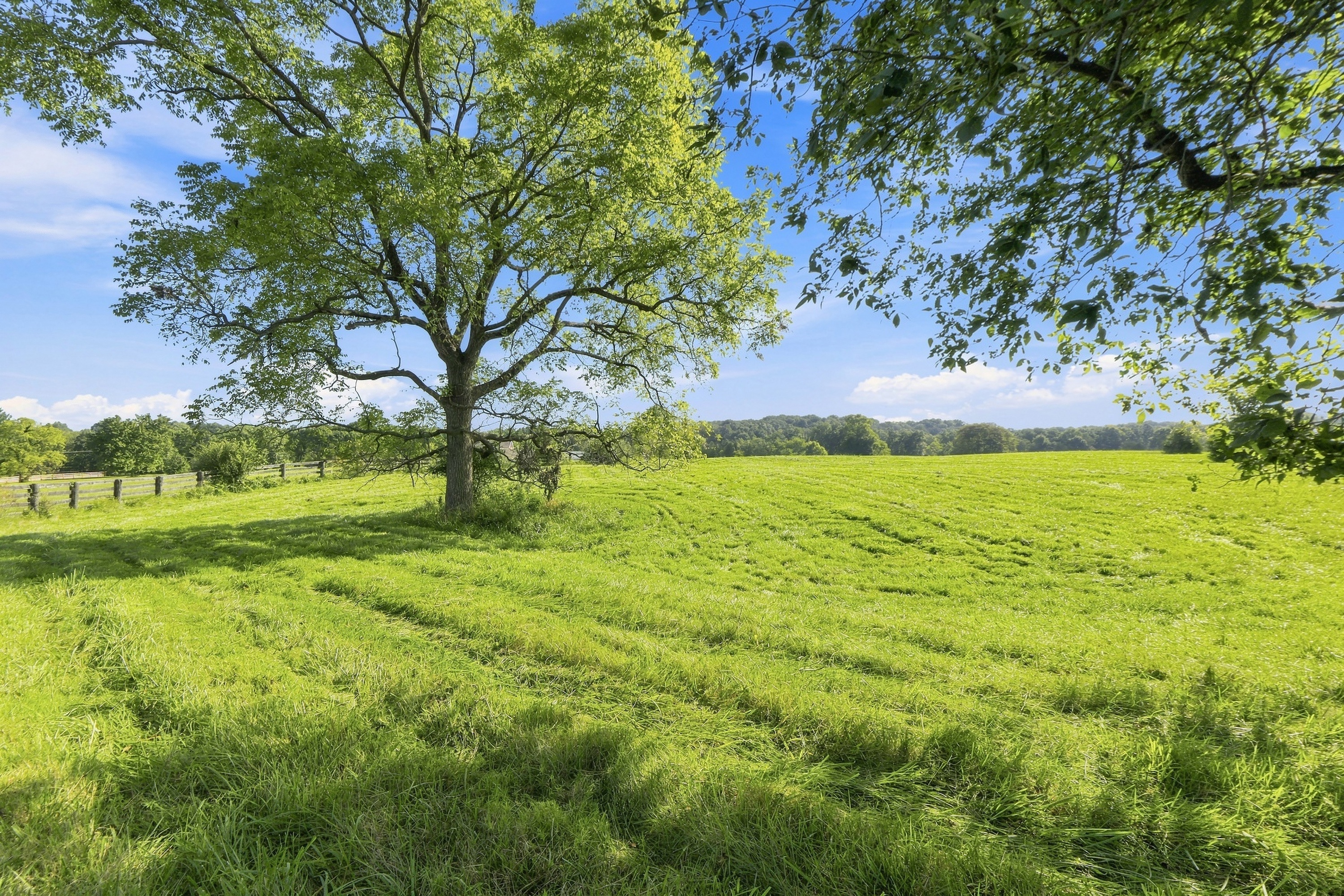  Tract 2 Ballard School Road, La Grange, KY 40031 - 物件實景