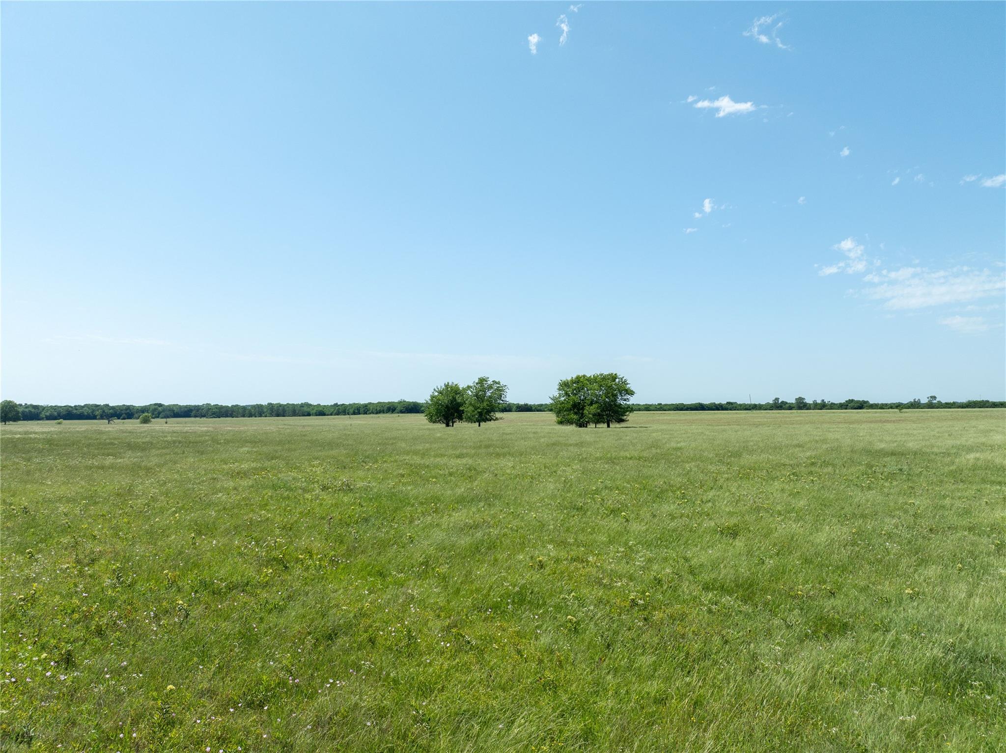 Blossom, Texas, 75416, United States, ,Residential,For Sale,1863967
