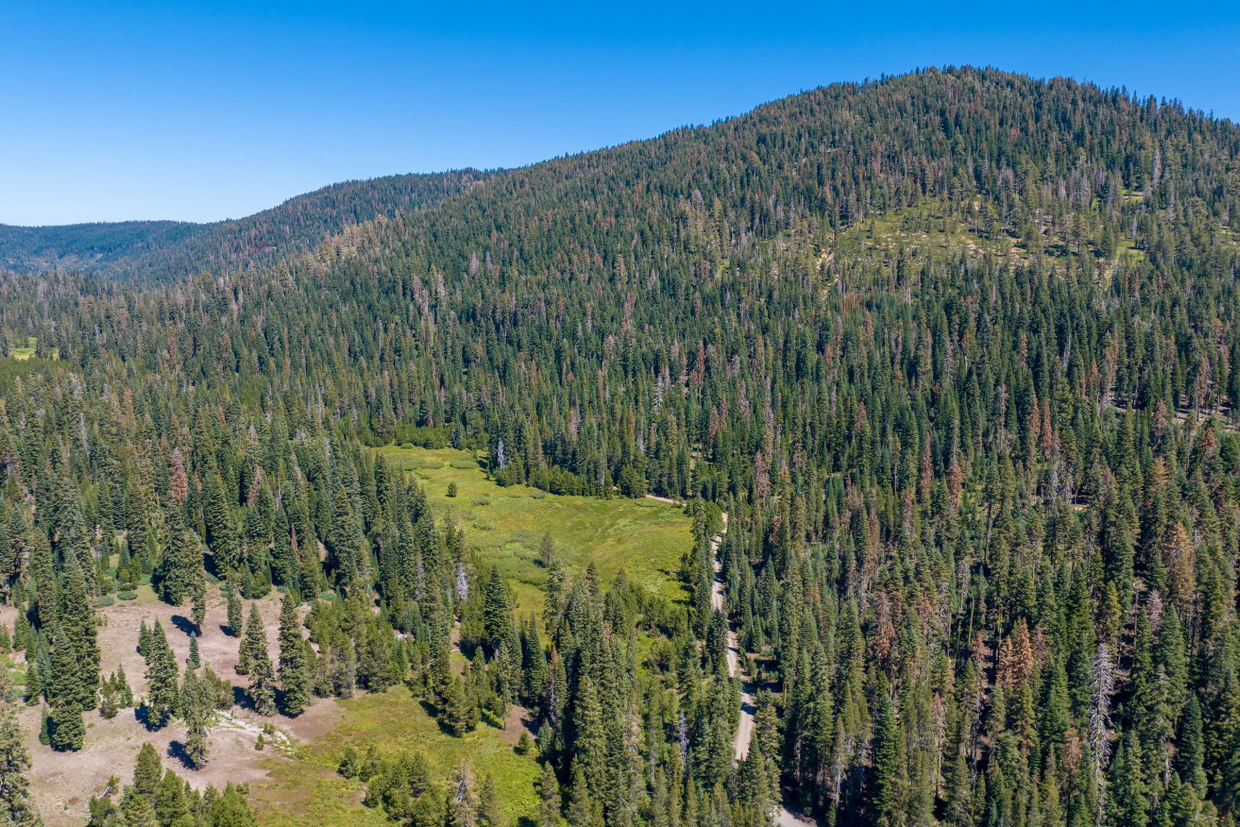  80 Acres of Pristine Land in the Middle of Plumas Eureka State Park - 物件實景