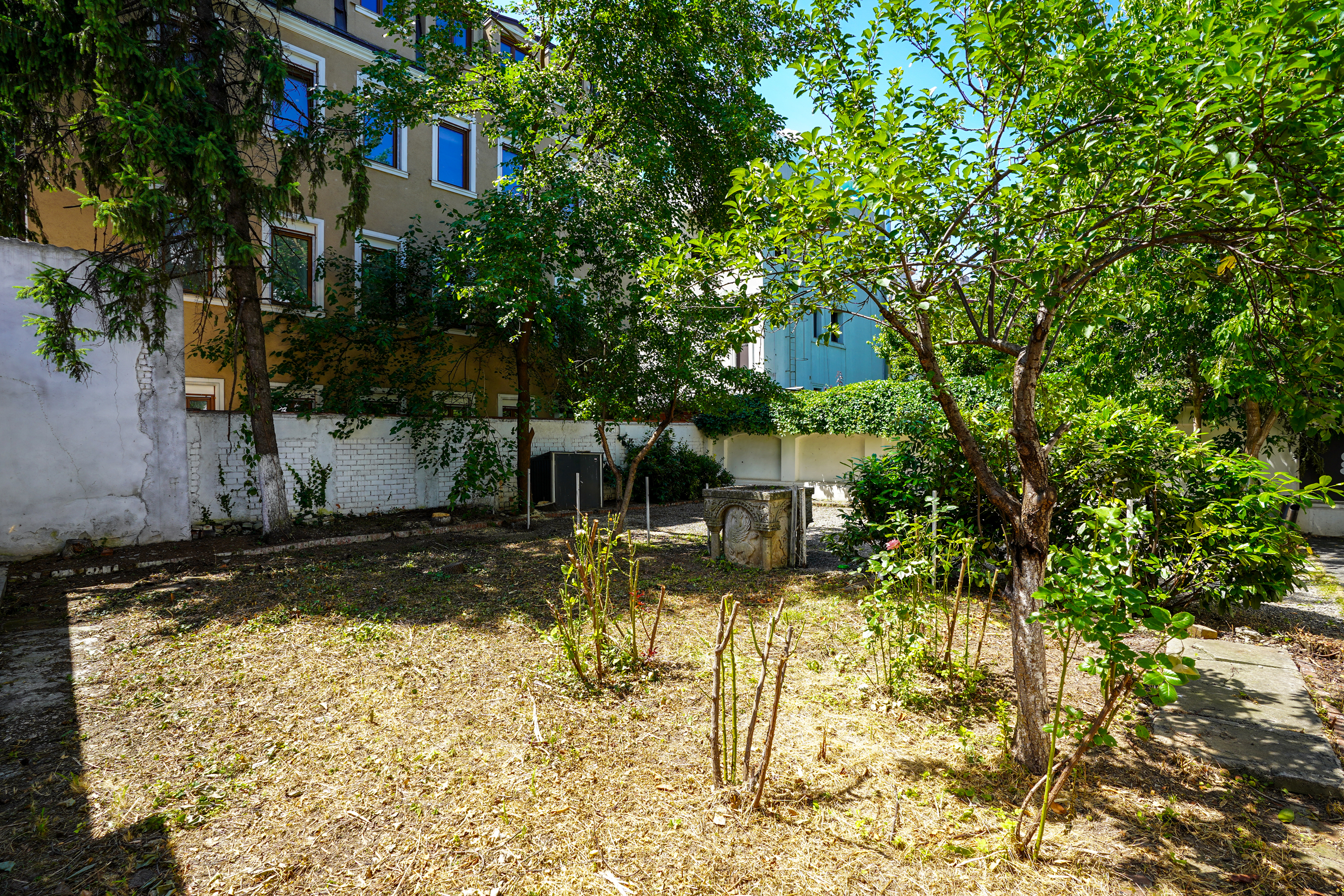  A Collector’s Residence on Kiseleff – The Architectural Legacy of Burcu & Marcu - 物件實景