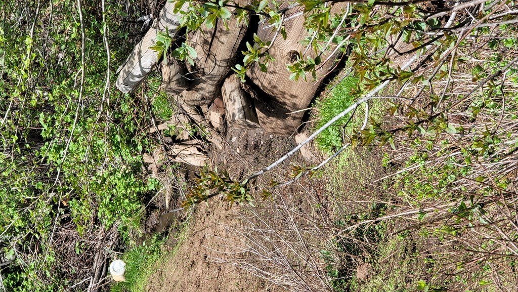 Council, Idaho, 83612, United States, 3 Bedrooms Bedrooms, ,2 BathroomsBathrooms,Residential,For Sale,1980798