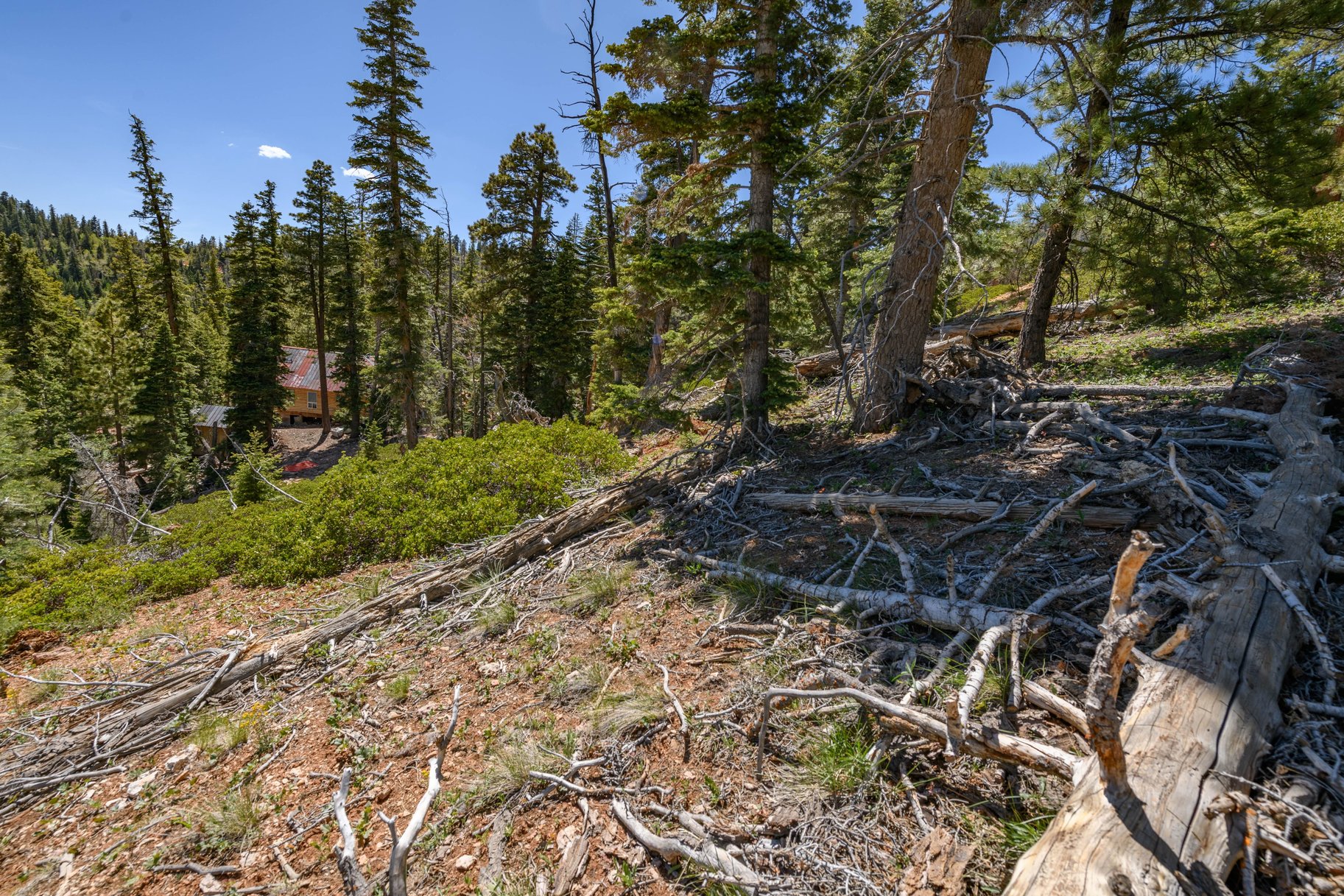  Quiet Mountain Retreat Near Navajo Lake - 物件實景