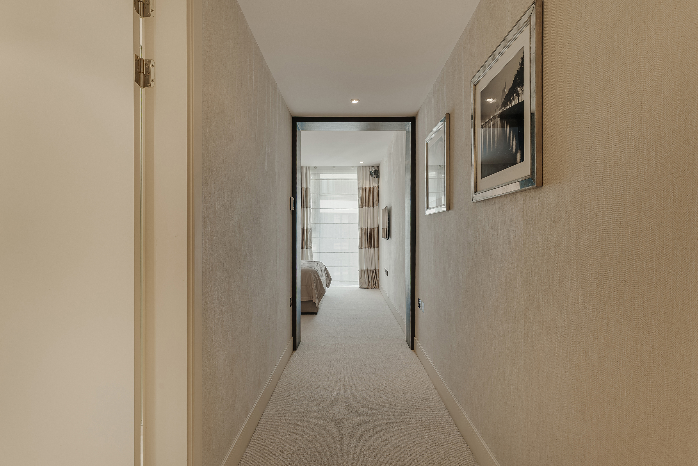  A Light-Filled Apartment with Exceptional Residents