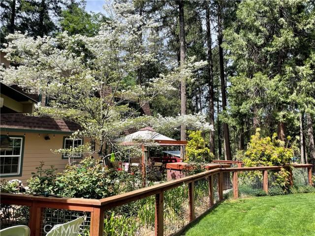 Magalia, California, 95954, United States, 3 Bedrooms Bedrooms, ,3 BathroomsBathrooms,Residential,For Sale,2008830