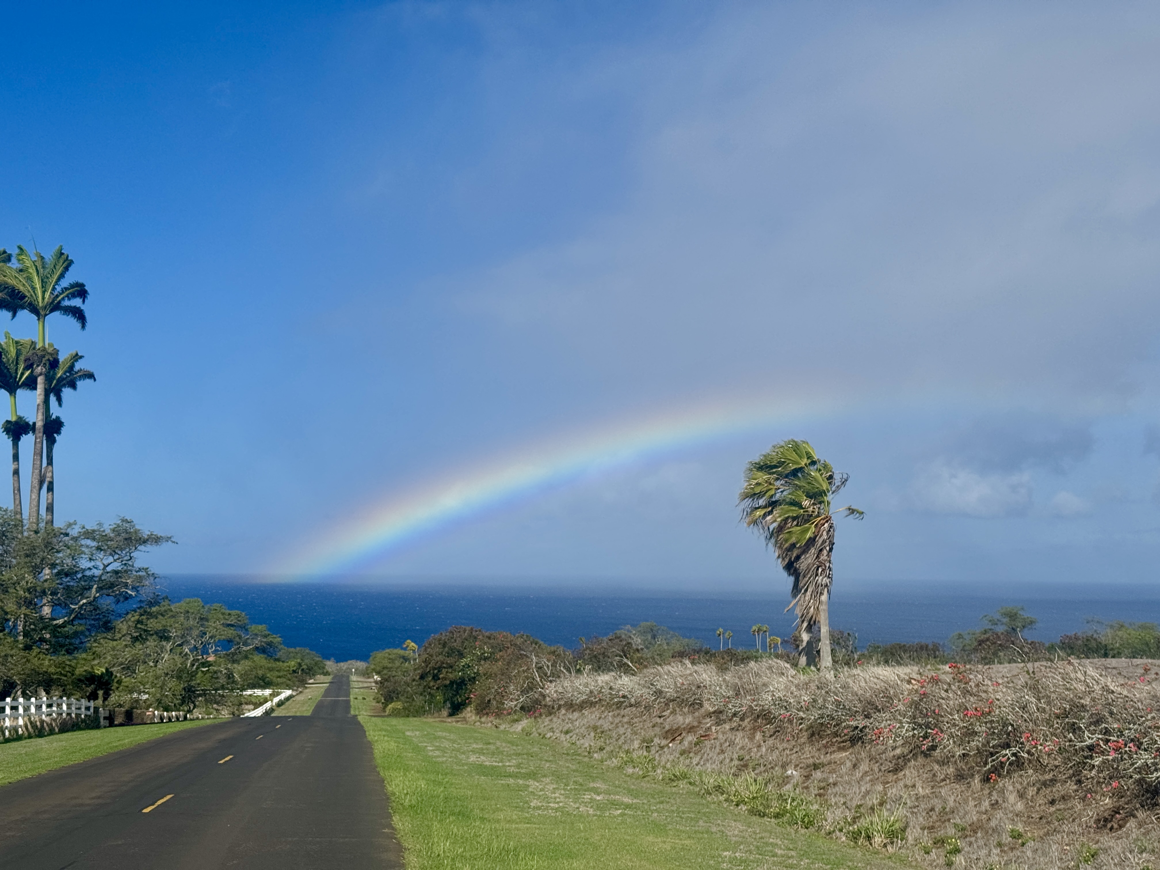 Hawi, Hawaii, 96719, United States, ,Land,For Sale,1997291
