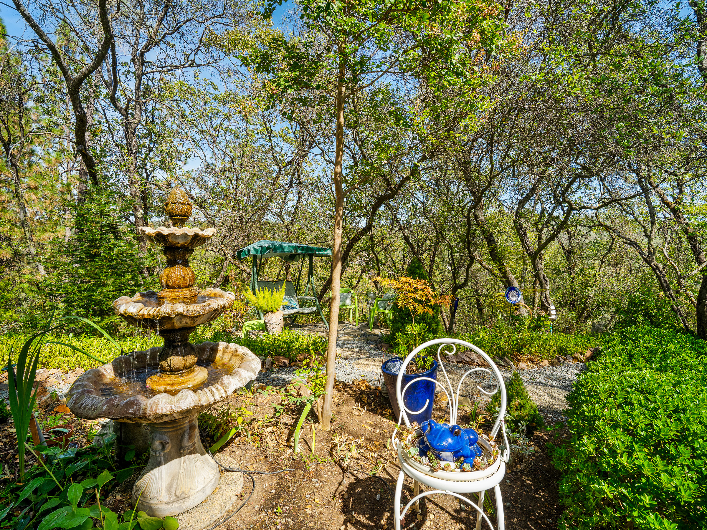  4711 Meadowview Acres Road, Cool, CA 95614 - 物件實景