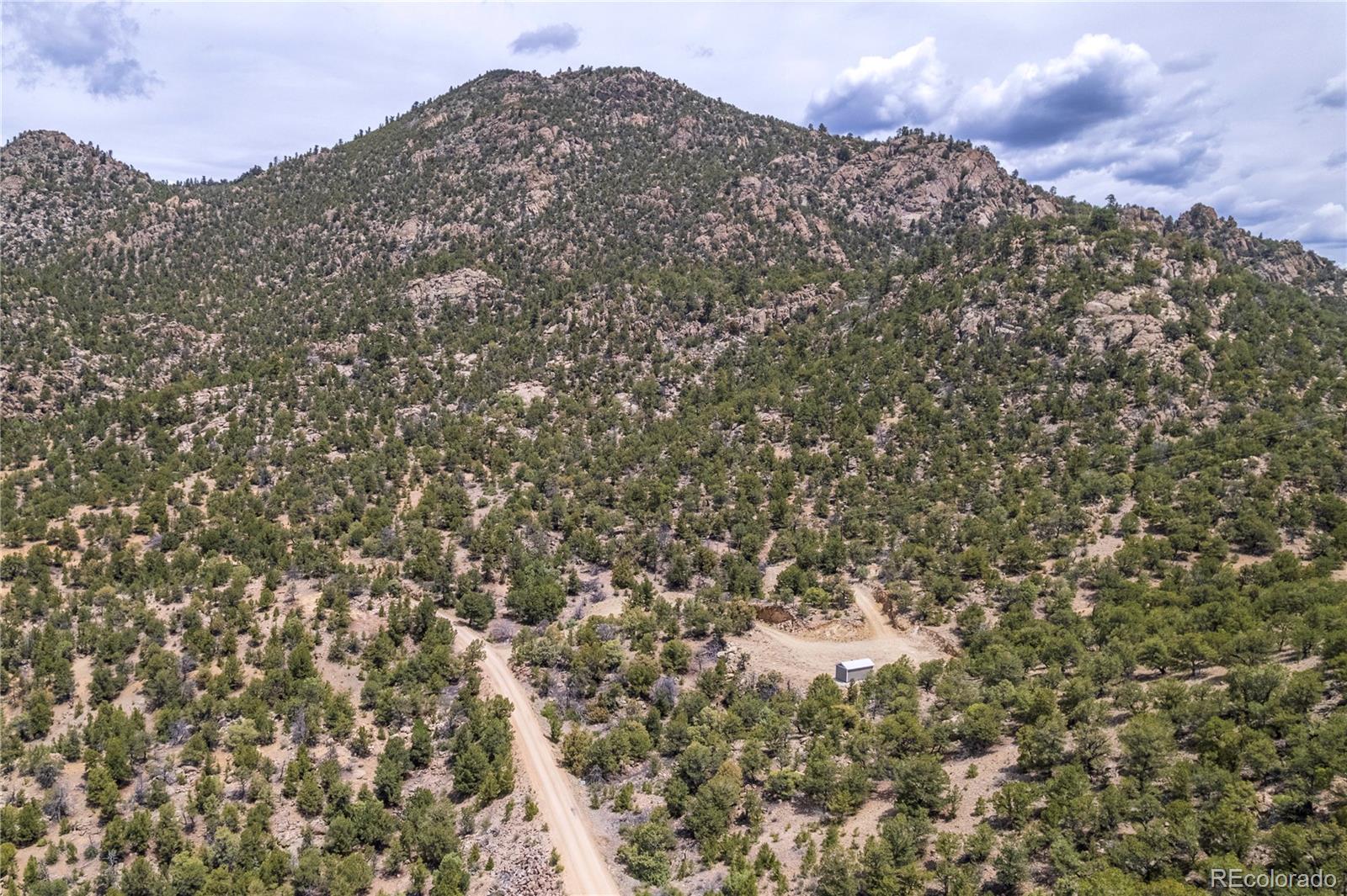 Buena Vista, Colorado, 81211, United States, ,Land,For Sale,1979562