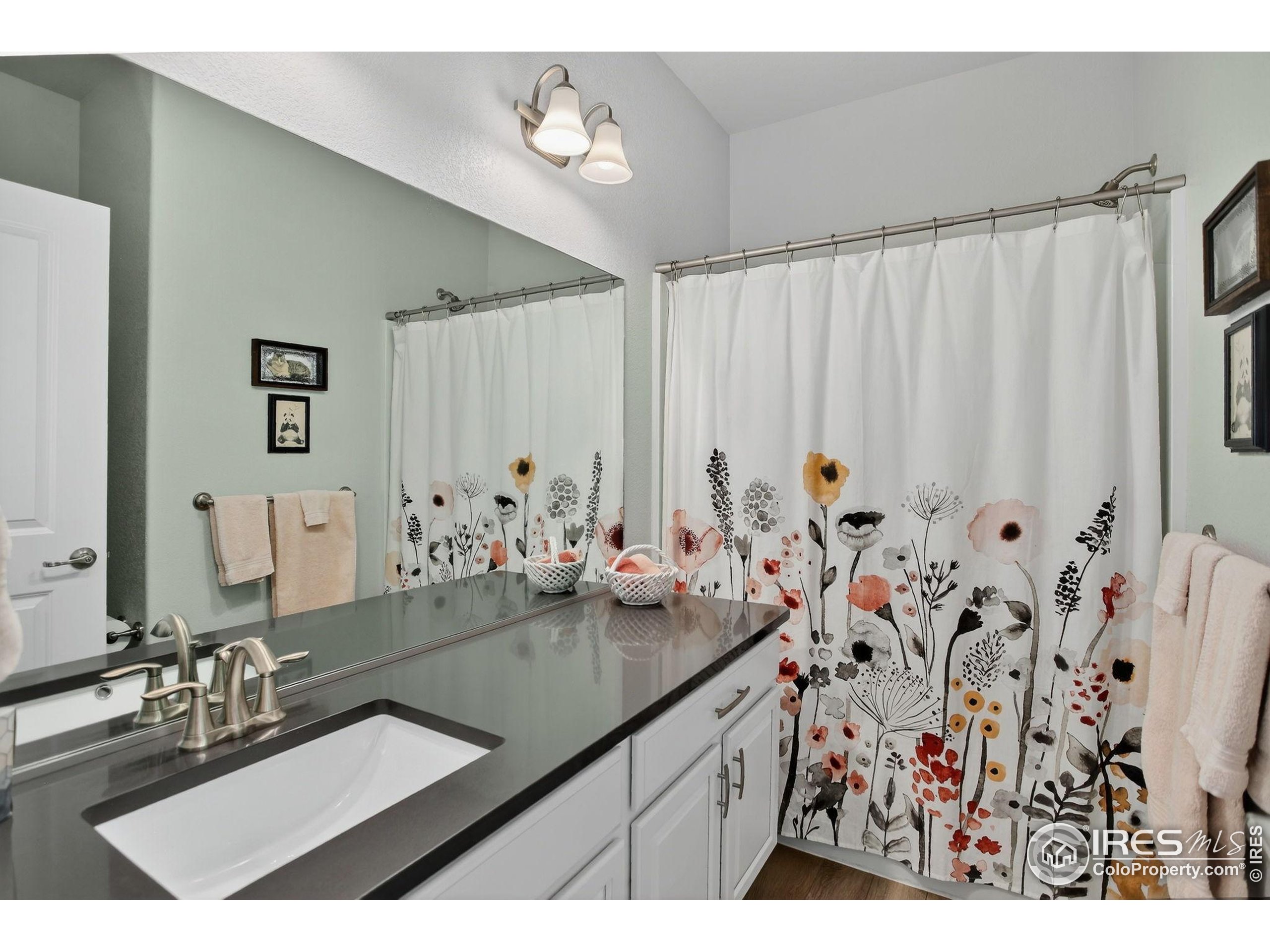 Windsor, Colorado, 80550, United States, 3 Bedrooms Bedrooms, ,1 BathroomBathrooms,Residential,For Sale,1932805