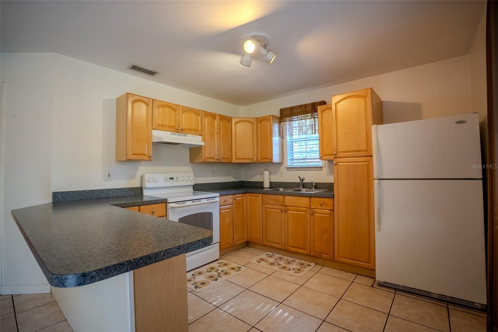 LADY LAKE, Florida, 32159, United States, 5 Bedrooms Bedrooms, ,3 BathroomsBathrooms,Residential,For Sale,1850305