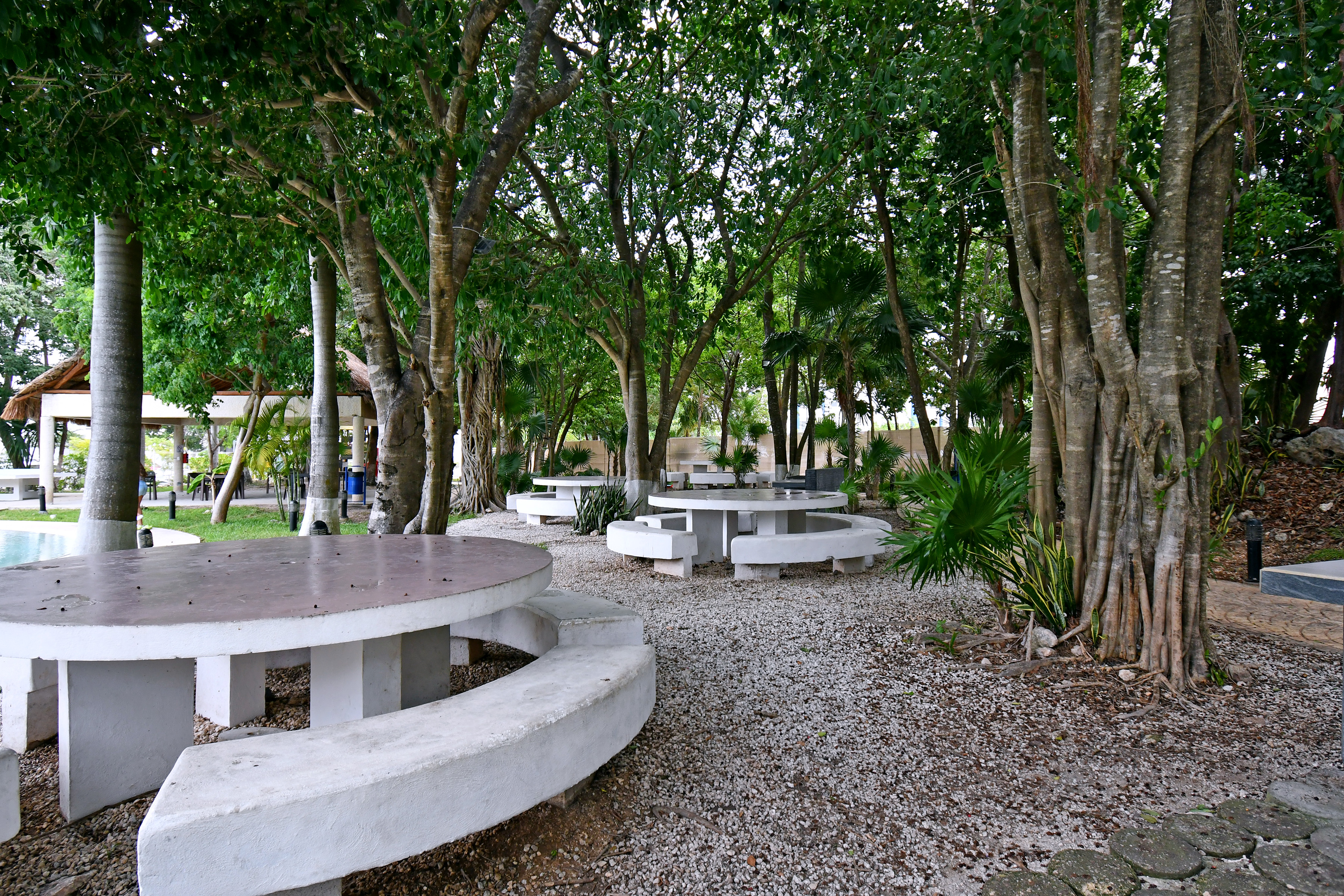  Prime Location & Family Amenities - 物件實景