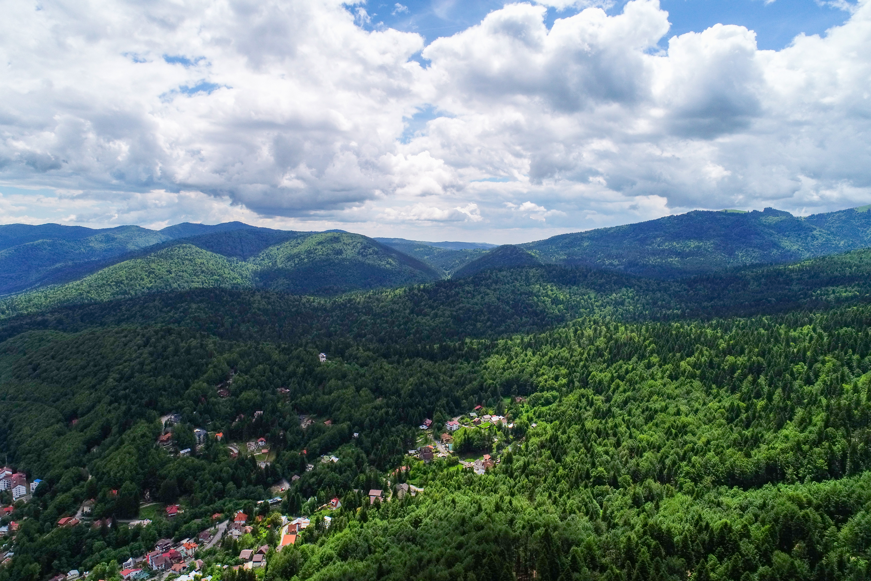  Modern Apartment with Private Garden at the Edge of the Forest, Sinaia - 物件實景
