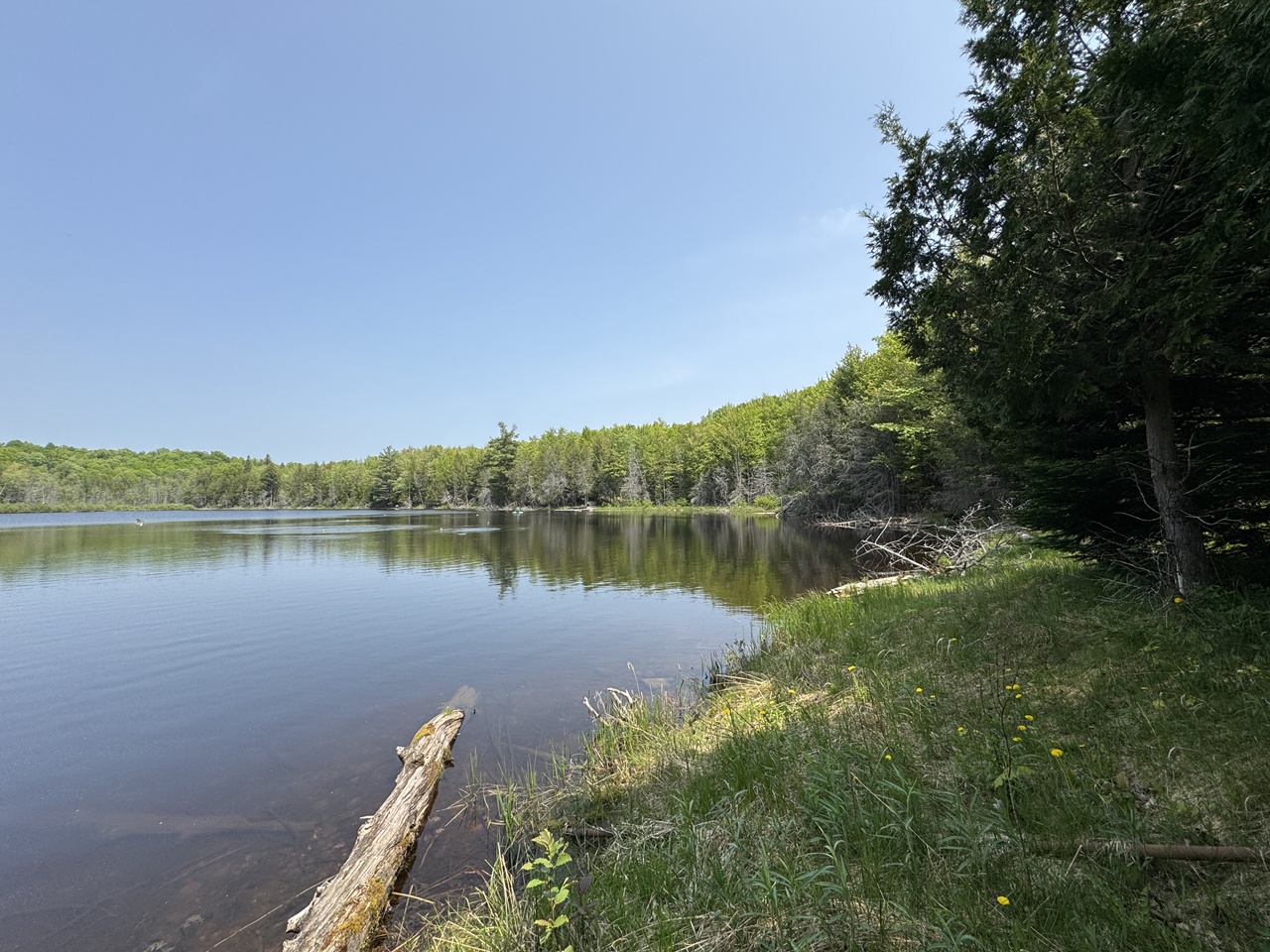 Oma, Wisconsin, 54534, United States, ,Residential,For Sale,1920346