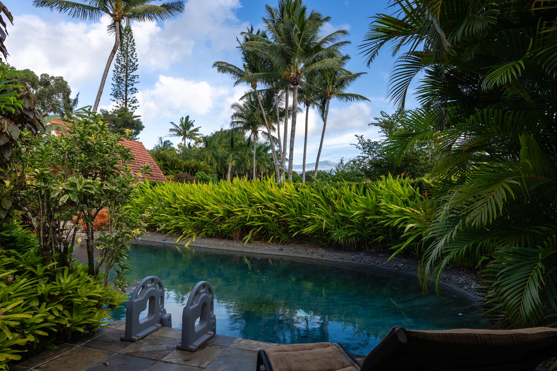  Oceanfront private retreat, gardens, pool, spas, guest houses - 物件實景
