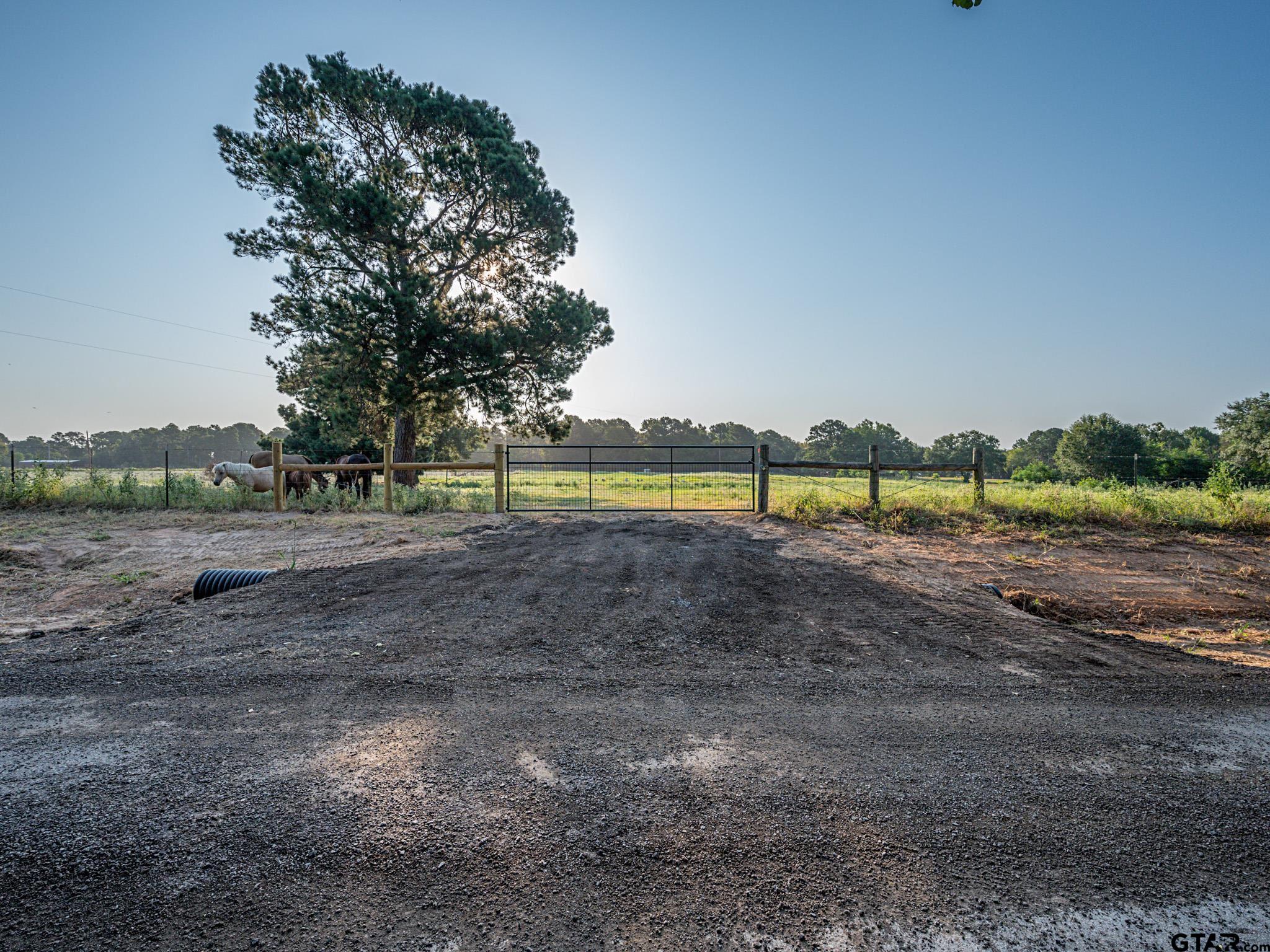 Chandler, Texas, 75758, United States, ,Land,For Sale,1826674