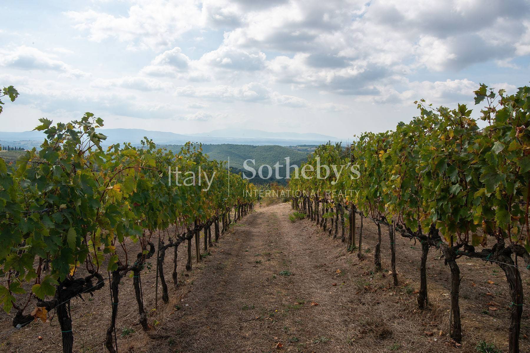  Exclusive wine estate in the Tuscan hills - 物件實景