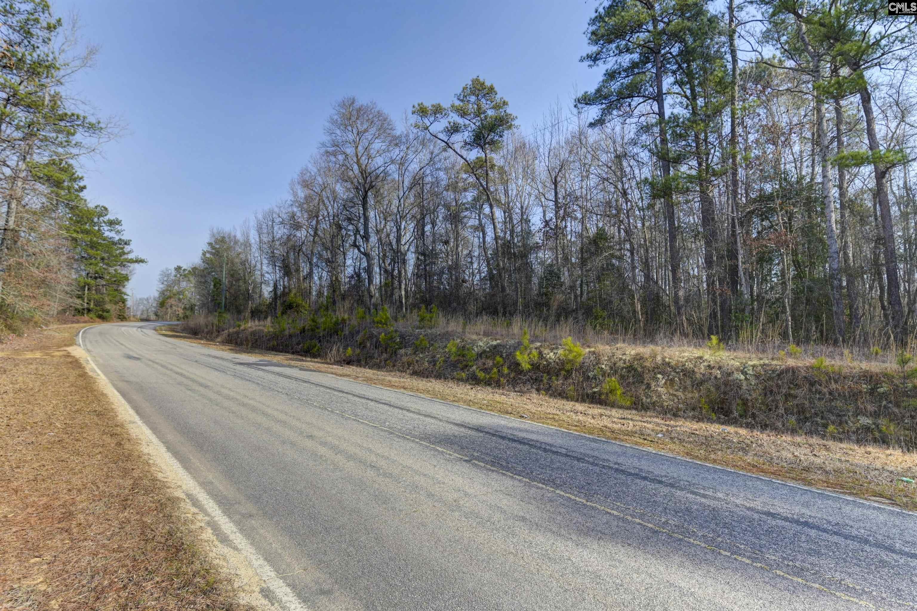 703 Neds Creek Road, Kershaw, South Carolina, 29067, United States, ,Land,For Sale,703 Neds Creek Road,1669372