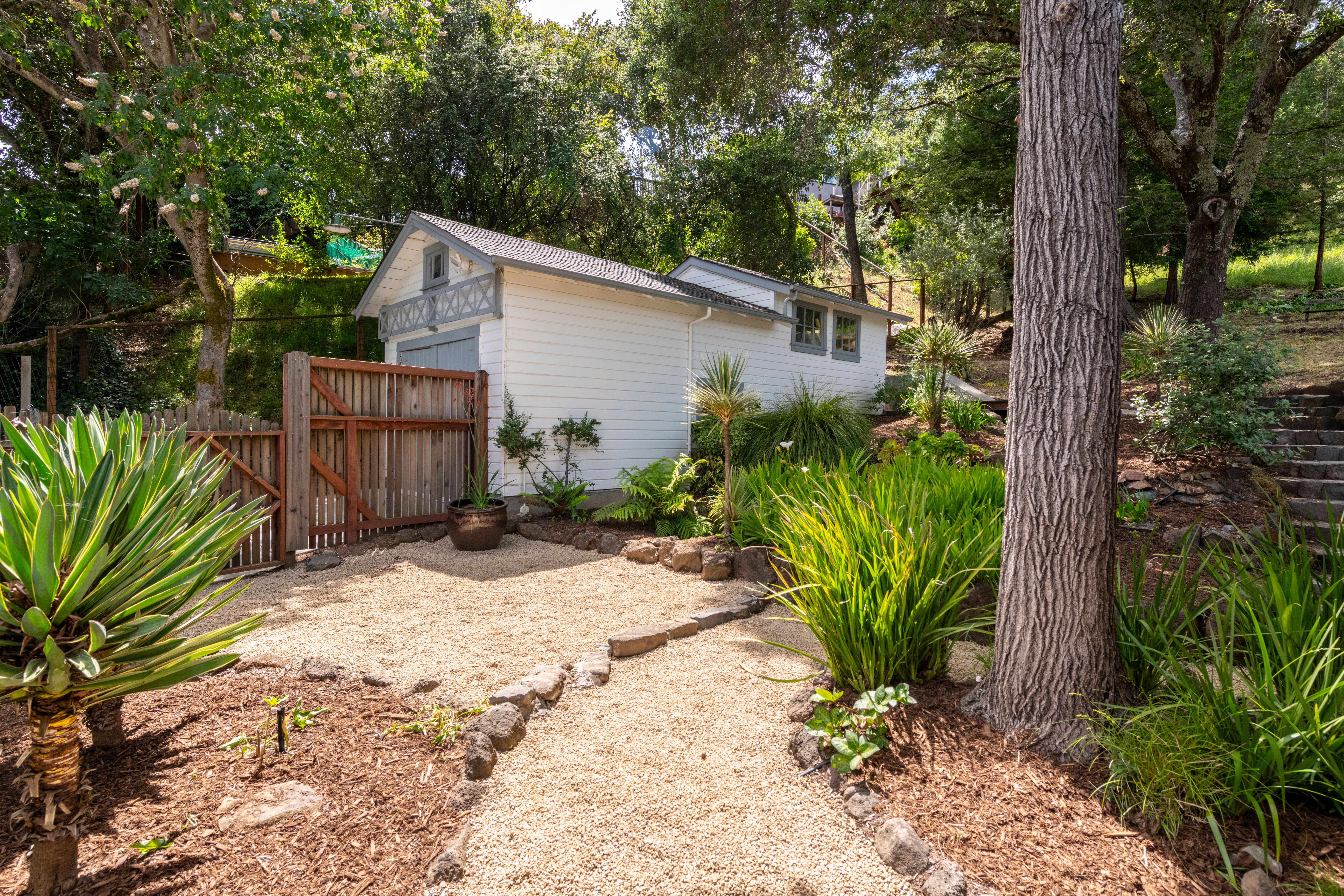  Lush Indoor-Outdoor Living in San Anselmo - 物件實景