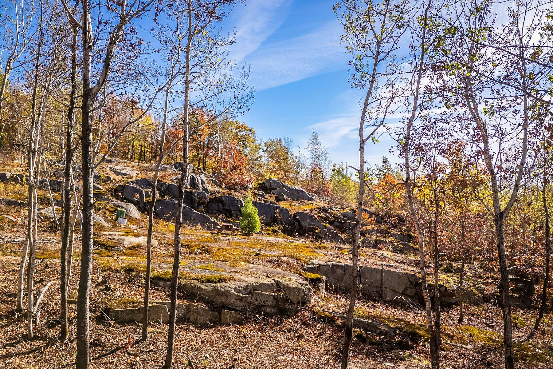  Shefford, Eastern Townships - 物件實景