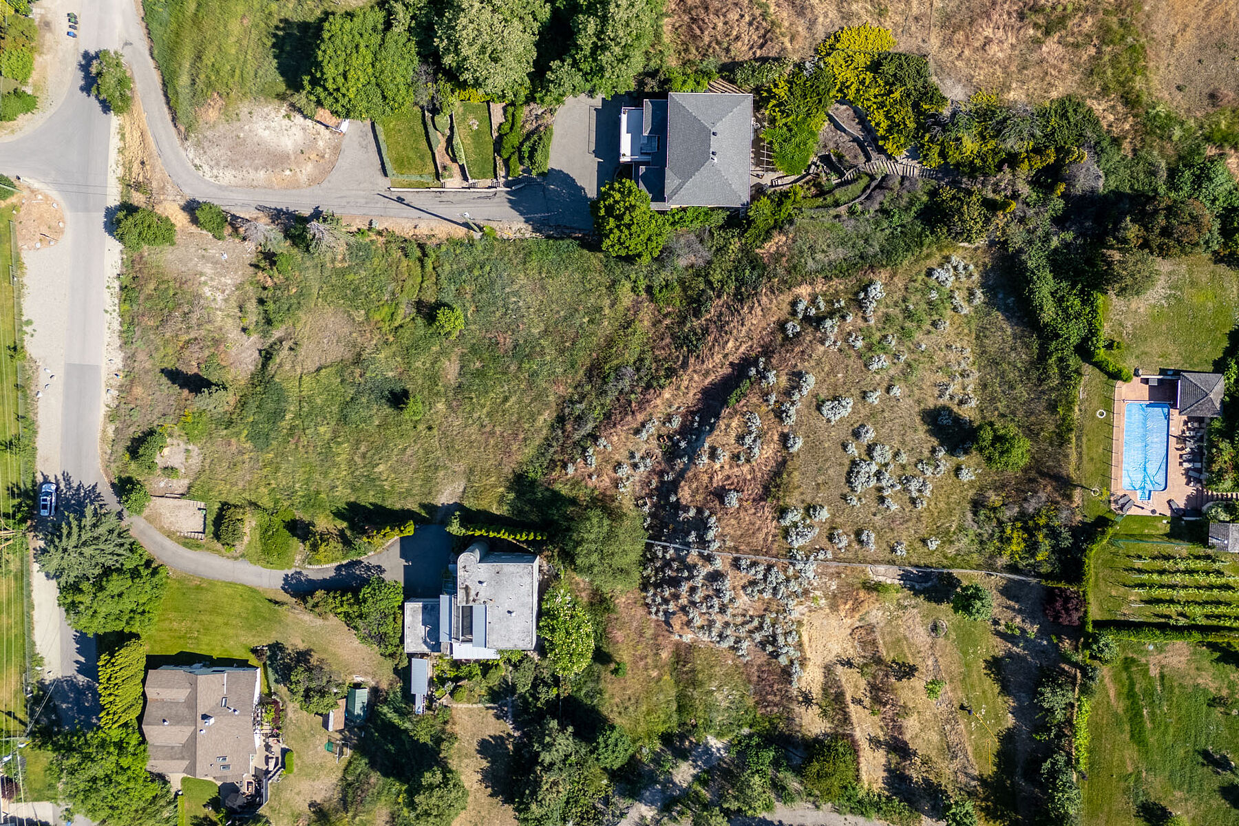  Rare Lot for Your Dream Home - 物件實景