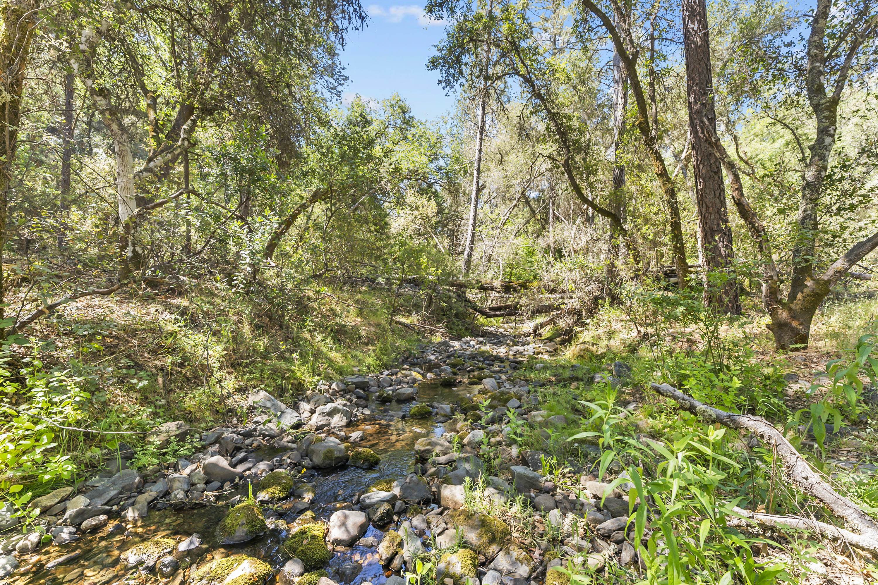  Amoruso Ranch 1000+ Acres Legacy - 物件實景