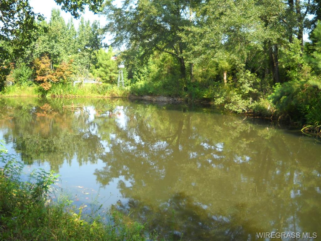 Ozark, Alabama, 36360, United States, 4 Bedrooms Bedrooms, ,2 BathroomsBathrooms,Residential,For Sale,1974163