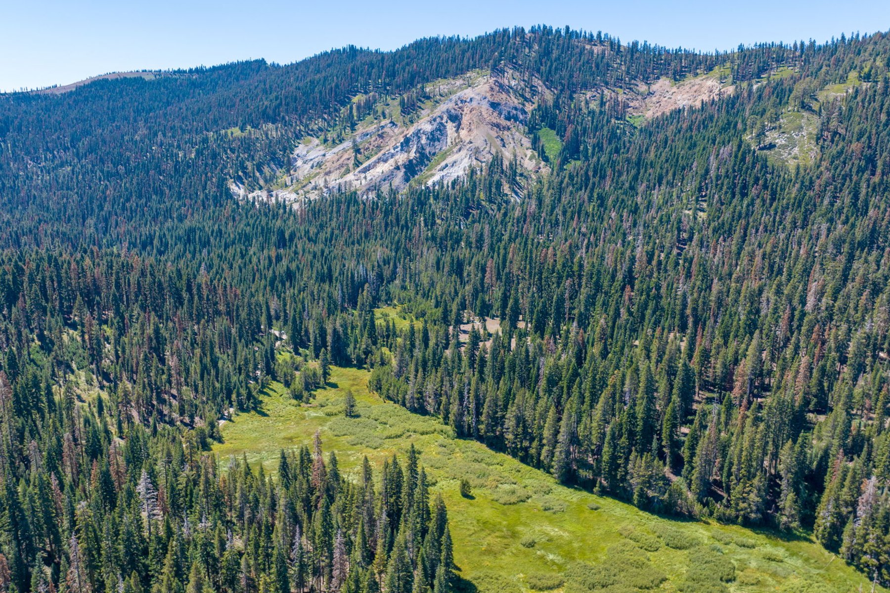  80 Acres of Pristine Land in the Middle of Plumas Eureka State Park - 物件實景