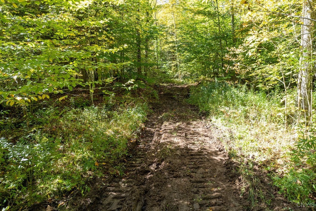 Schroeppel, New York, 13069, United States, ,Land,For Sale,1985668