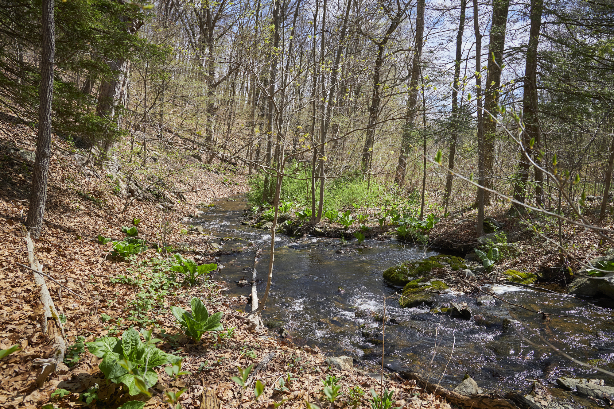  457 Round Lake Road, Rhinebeck, NY, 12572 - 物件實景