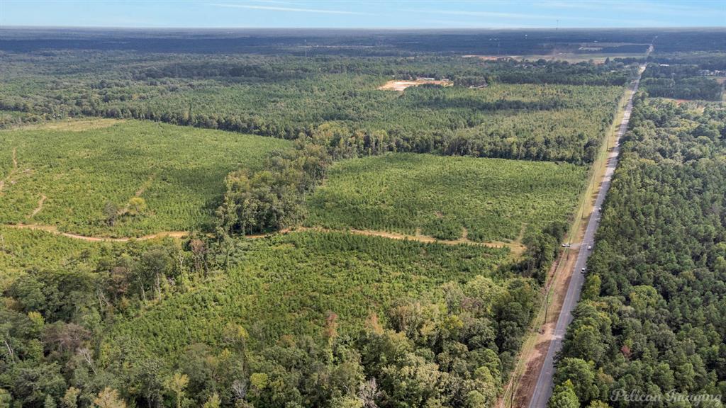 0 Highway 157 Highway, Haughton, Louisiana, 71037, United States, ,Land,For Sale,0 Highway 157 Highway,1646378