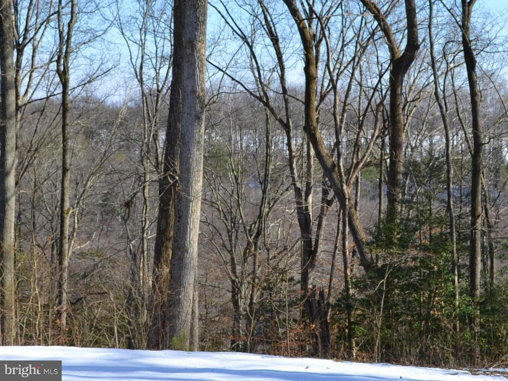 Port Royal, Virginia, 22535, United States, 5 Bedrooms Bedrooms, ,4 BathroomsBathrooms,Residential,For Sale,1959424